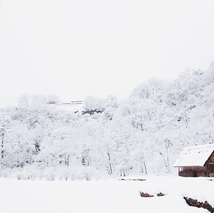 雪景